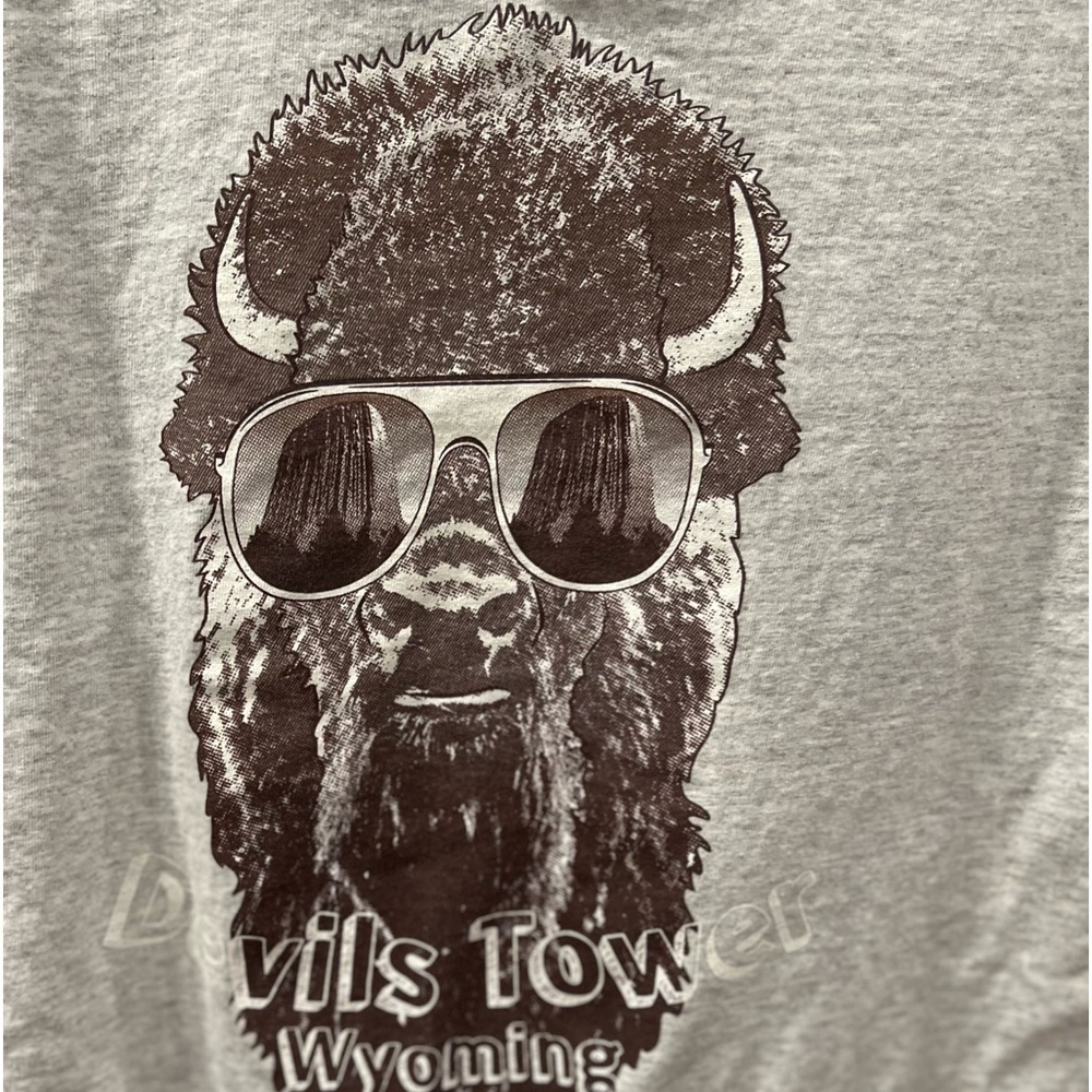 Devil’s Tower Wyoming t-shirt size medium in GUC